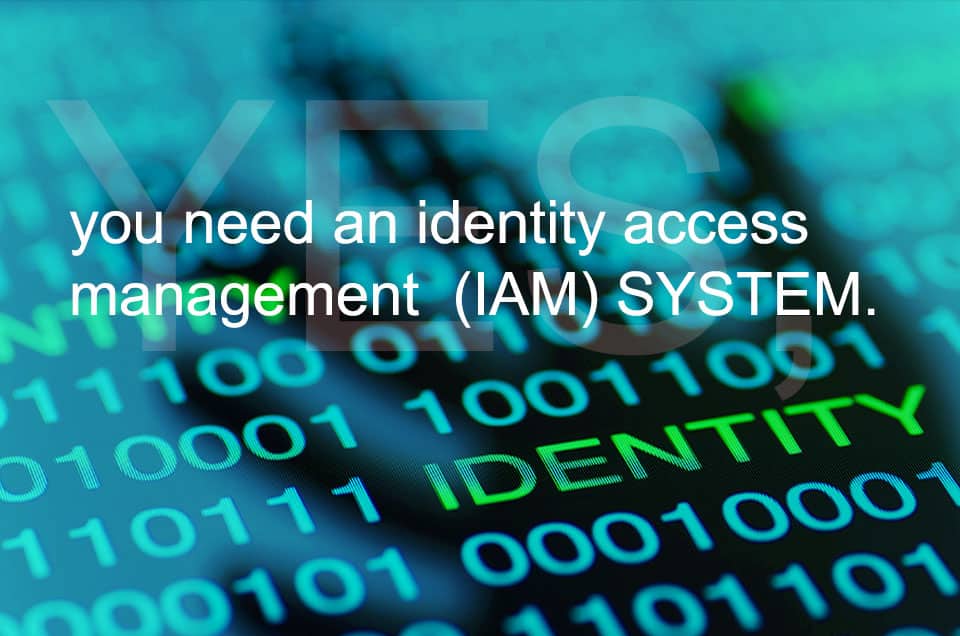 Identity access management (IAM) system