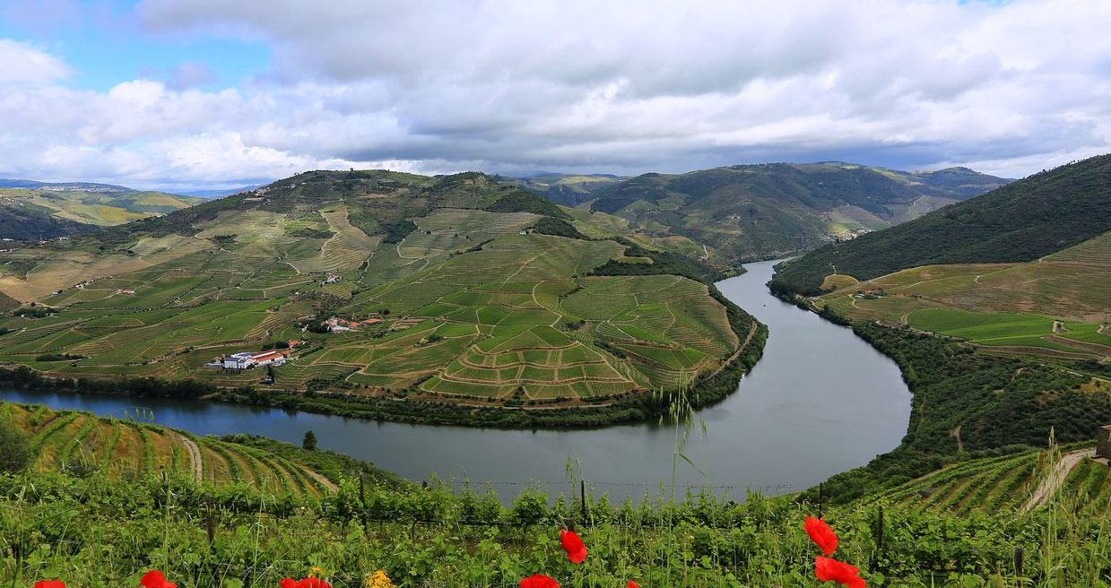 Douro Valley (Pinhao), Portugal