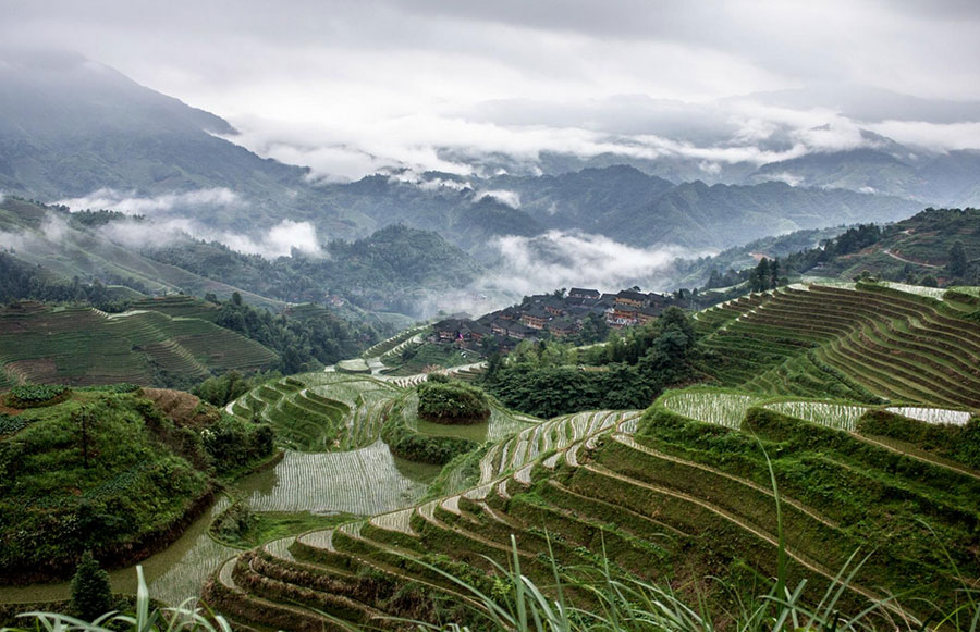 Dragon's Backbone Rice Terraces, Longsheng County, China