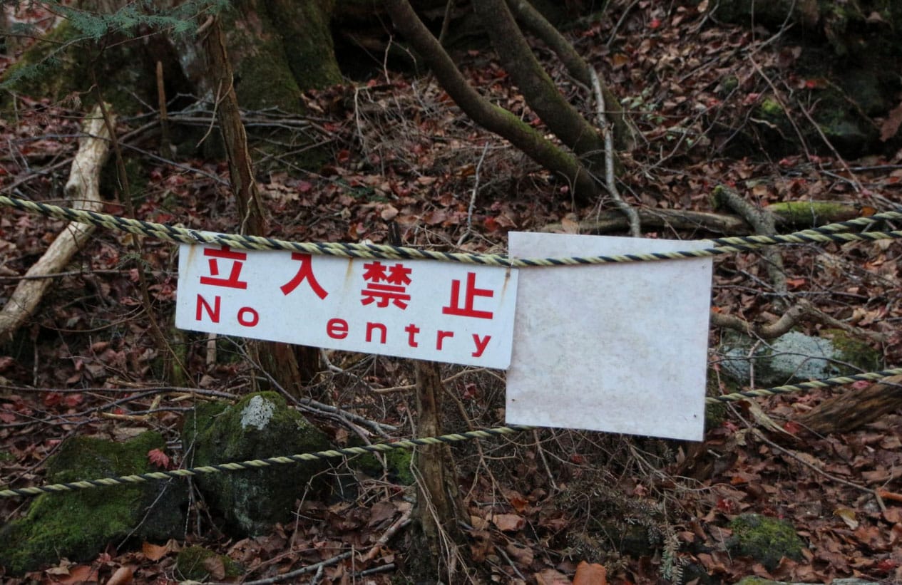 Aokigahara Forest (Sea of Trees or Suicide Forest), Japan
