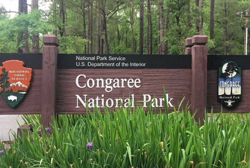 Congaree National Park, South Carolina