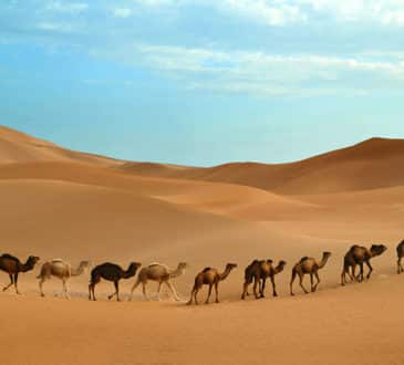 Sahara desert in Morocco