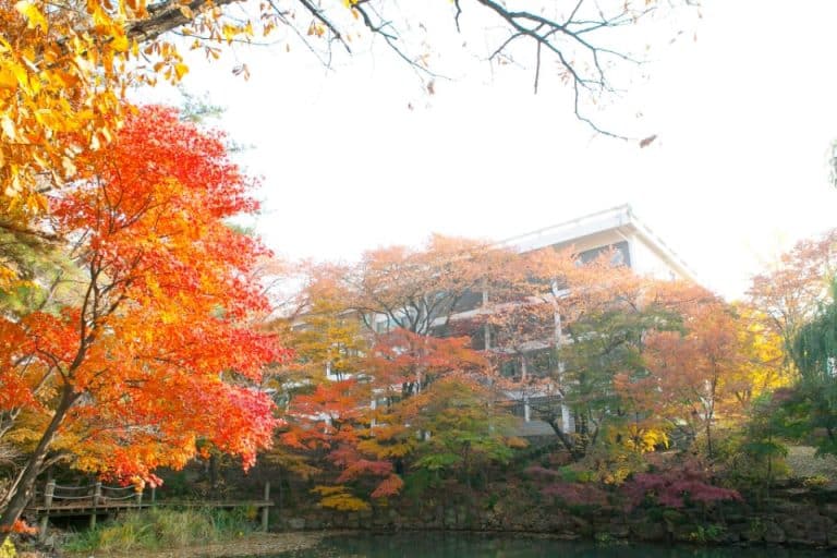 Seoul National University 1 768x512 