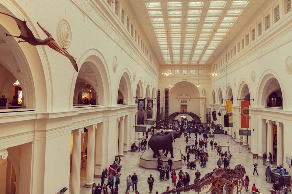 Field Museum Of Natural History, Chicago