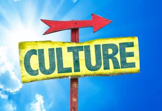 Insufficient to Transform Culture