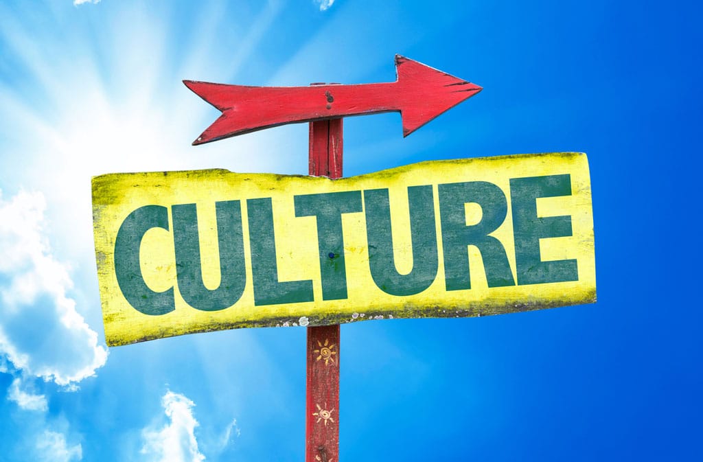 Insufficient to Transform Culture